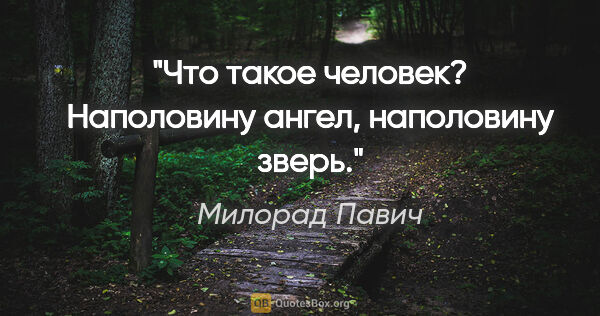 Милорад Павич цитата: "Что такое человек? Наполовину ангел, наполовину зверь."