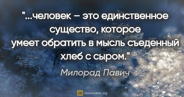 Милорад Павич цитата: "человек – это единственное существо, которое умеет обратить в..."