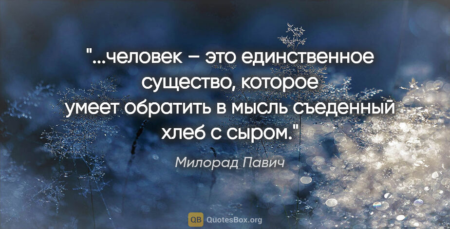 Милорад Павич цитата: "человек – это единственное существо, которое умеет обратить в..."
