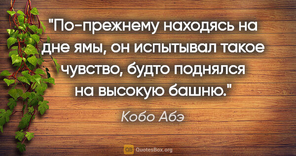 Кобо Абэ цитата: "По-прежнему находясь на дне ямы, он испытывал такое чувство,..."