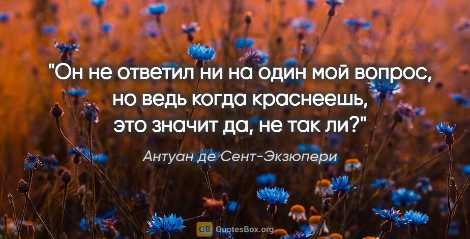 Антуан де Сент-Экзюпери цитата: "Он не ответил ни на один мой вопрос, но ведь когда краснеешь,..."