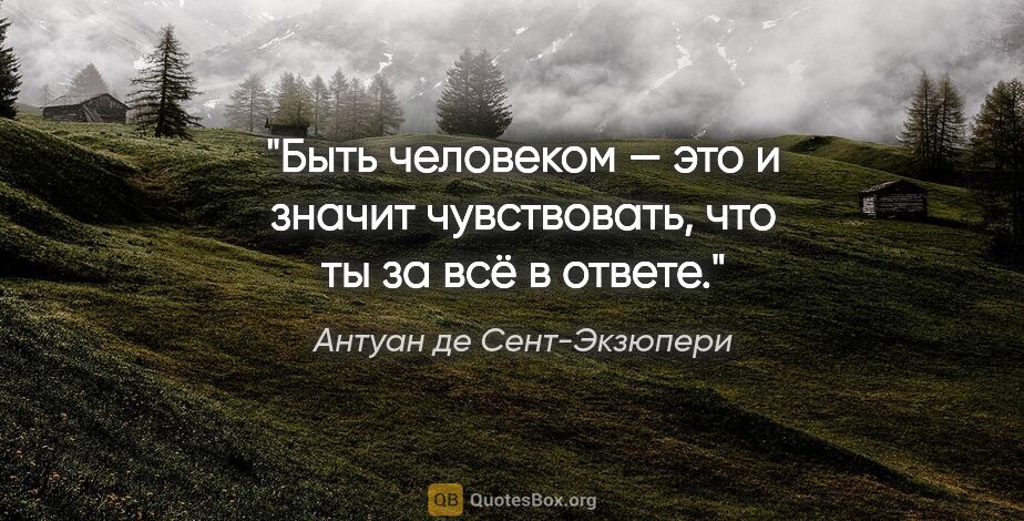 Антуан де Сент-Экзюпери цитата: "Быть человеком — это и значит чувствовать, что ты за всё в..."