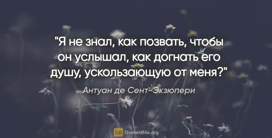 Антуан де Сент-Экзюпери цитата: "Я не знал, как позвать, чтобы он услышал, как догнать его..."