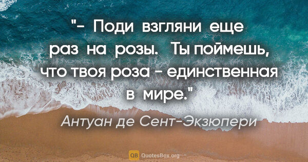 Антуан де Сент-Экзюпери цитата: "-  Поди  взгляни  еще  раз  на  розы.   Ты поймешь, что твоя..."