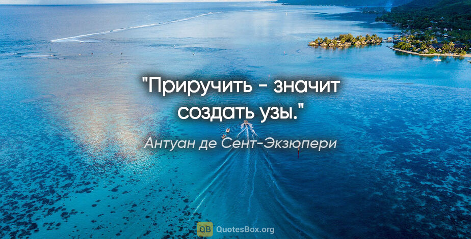 Антуан де Сент-Экзюпери цитата: "Приручить - значит создать узы."