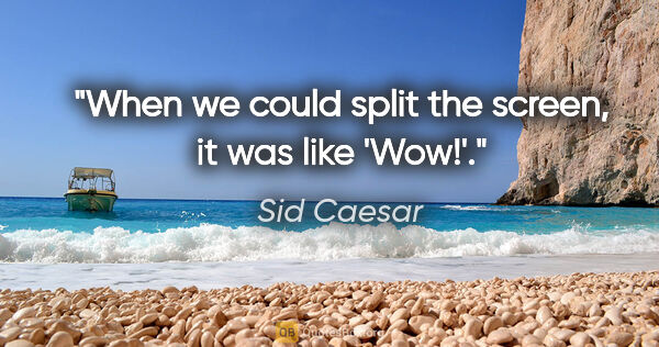 Sid Caesar quote: "When we could split the screen, it was like 'Wow!'."