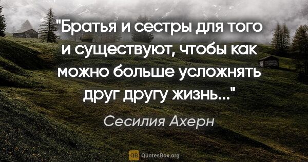 Сесилия Ахерн цитата: "Братья и сестры для того и существуют, чтобы как можно больше..."