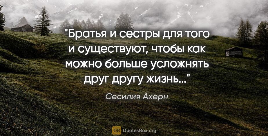 Сесилия Ахерн цитата: "Братья и сестры для того и существуют, чтобы как можно больше..."