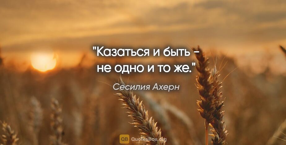 Сесилия Ахерн цитата: "Казаться и быть - не одно и то же."