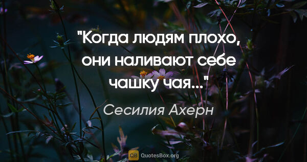 Сесилия Ахерн цитата: "Когда людям плохо, они наливают себе чашку чая..."