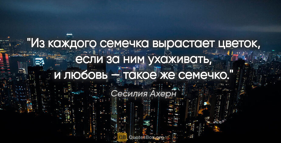 Сесилия Ахерн цитата: "Из каждого семечка вырастает цветок, если за ним ухаживать, и..."