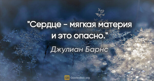 Джулиан Барнс цитата: "Сердце - мягкая материя и это опасно."