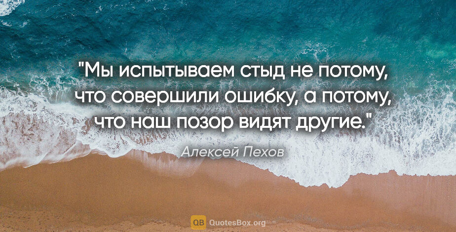 Алексей Пехов цитата: "Мы испытываем стыд не потому, что совершили ошибку, а потому,..."