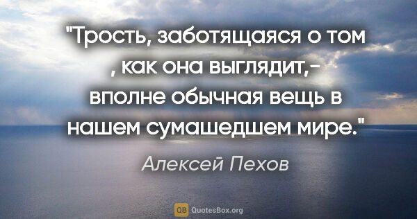 Алексей Пехов цитата: "Трость, заботящаяся о том , как она выглядит,- вполне обычная..."