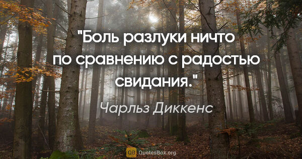 Чарльз Диккенс цитата: "Боль разлуки ничто по сравнению с радостью свидания."