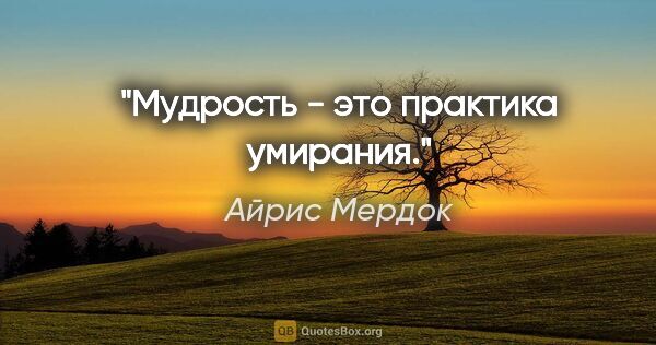 Айрис Мердок цитата: "Мудрость - это практика умирания."