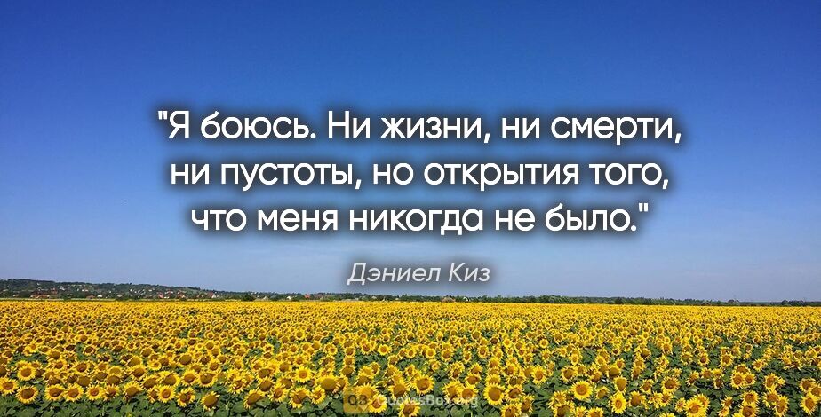 Дэниел Киз цитата: "Я боюсь. Ни жизни, ни смерти, ни пустоты, но открытия того,..."