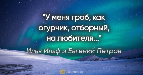 Илья Ильф и Евгений Петров цитата: "У меня гроб, как огурчик, отборный, на любителя..."