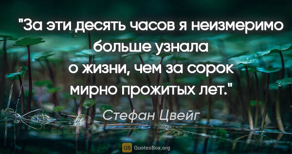 Стефан Цвейг цитата: "За эти десять часов я неизмеримо больше узнала о жизни, чем за..."