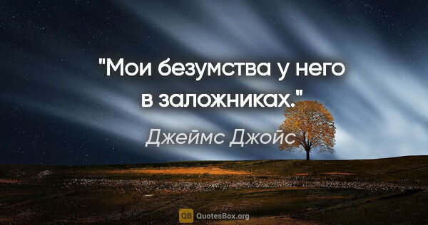 Джеймс Джойс цитата: "Мои безумства у него в заложниках."