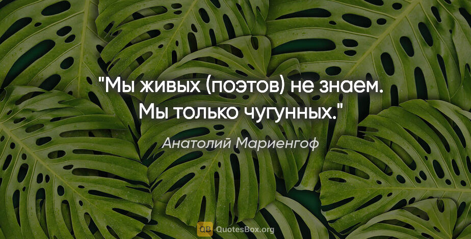 Анатолий Мариенгоф цитата: "Мы живых (поэтов) не знаем. Мы только чугунных."