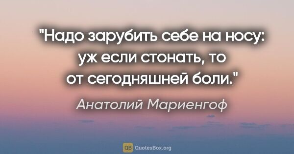 Анатолий Мариенгоф цитата: "Надо зарубить себе на носу: уж если стонать, то от сегодняшней..."