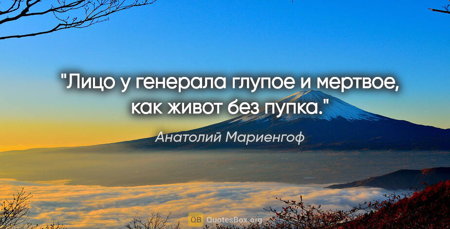 Анатолий Мариенгоф цитата: "Лицо у генерала глупое и мертвое, как живот без пупка."