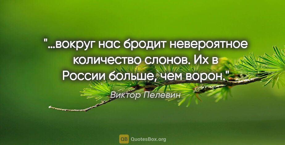 Виктор Пелевин цитата: "…вокруг нас бродит невероятное количество слонов. Их в России..."