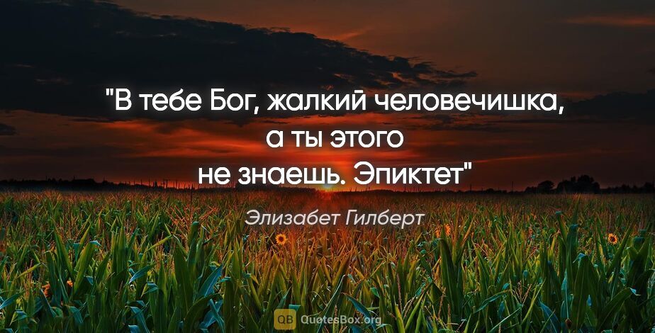 Элизабет Гилберт цитата: ""В тебе Бог, жалкий человечишка, а ты этого не знаешь". Эпиктет"