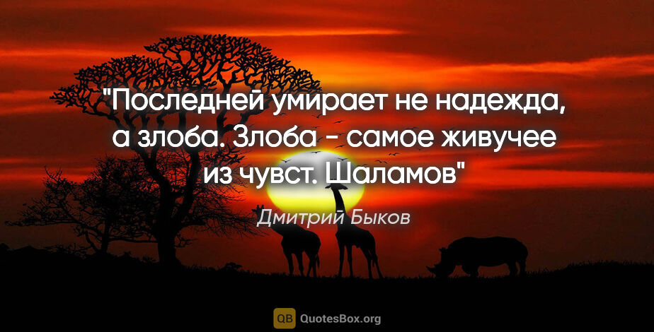 Дмитрий Быков цитата: "Последней умирает не надежда, а злоба. Злоба - самое живучее..."