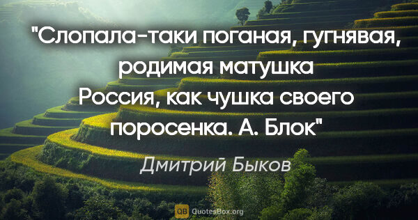 Дмитрий Быков цитата: "Слопала-таки поганая, гугнявая, родимая матушка Россия, как..."