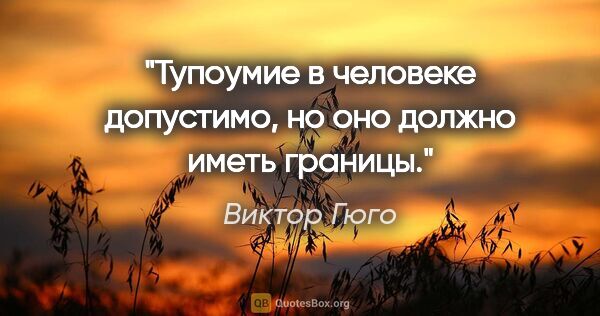 Виктор Гюго цитата: "Тупоумие в человеке допустимо, но оно должно иметь границы."