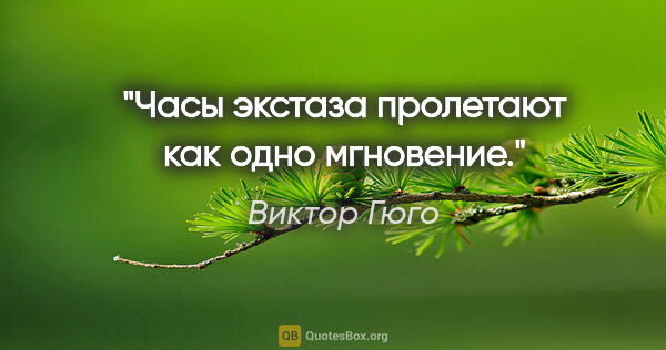 Виктор Гюго цитата: "Часы экстаза пролетают как одно мгновение."
