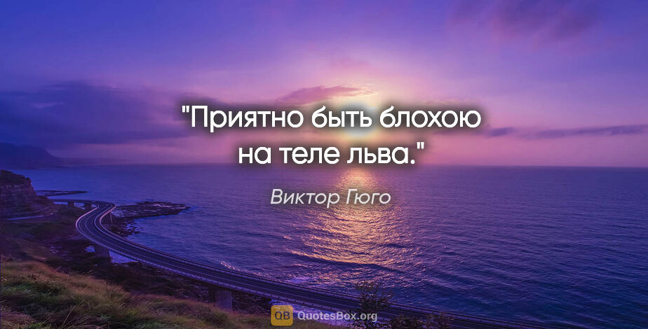 Виктор Гюго цитата: "Приятно быть блохою на теле льва."