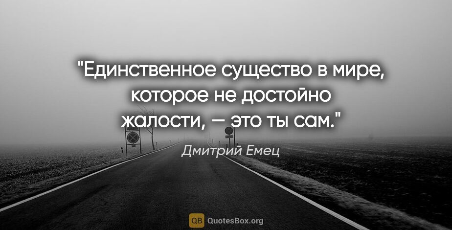 Дмитрий Емец цитата: "Единственное существо в мире, которое не достойно жалости, —..."