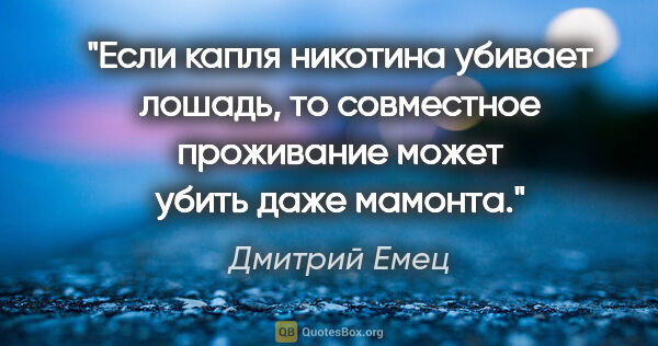 Дмитрий Емец цитата: "Если капля никотина убивает лошадь, то совместное проживание..."