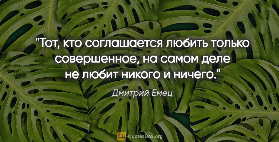 Дмитрий Емец цитата: "Тот, кто соглашается любить только совершенное, на самом деле..."