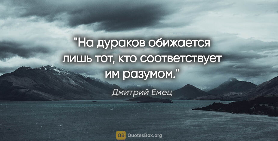 Дмитрий Емец цитата: "На дураков обижается лишь тот, кто соответствует им разумом."
