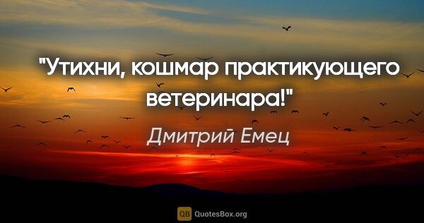 Дмитрий Емец цитата: "Утихни, кошмар практикующего ветеринара!"