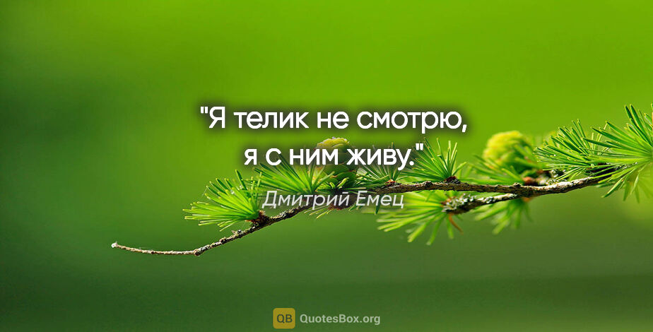 Дмитрий Емец цитата: "Я телик не смотрю, я с ним живу."