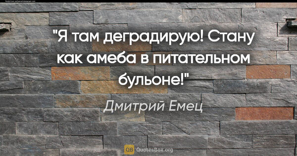 Дмитрий Емец цитата: "Я там деградирую! Стану как амеба в питательном бульоне!"
