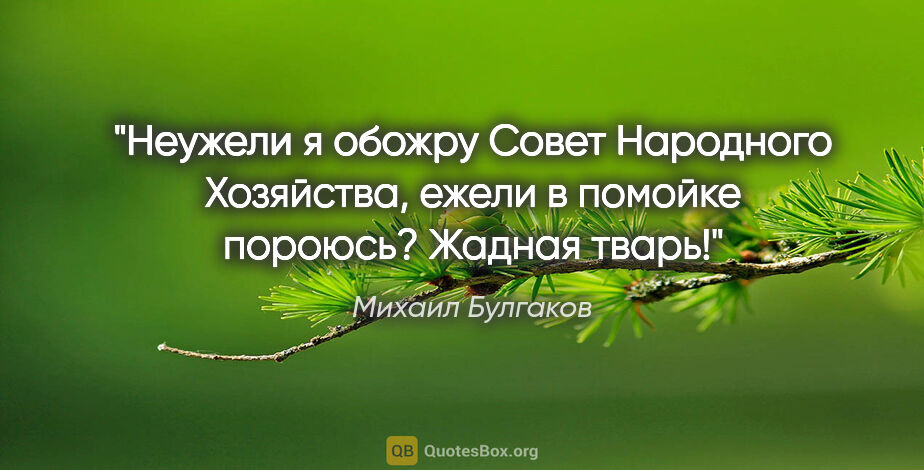 Михаил Булгаков цитата: "Неужели я обожру Совет Народного Хозяйства, ежели в помойке..."