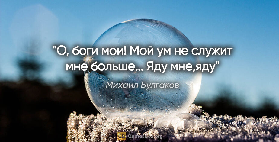 Михаил Булгаков цитата: "О, боги мои! Мой ум не служит мне больше... Яду мне,яду"