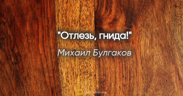Михаил Булгаков цитата: "Отлезь, гнида!"