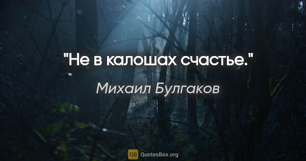 Михаил Булгаков цитата: "Не в калошах счастье."