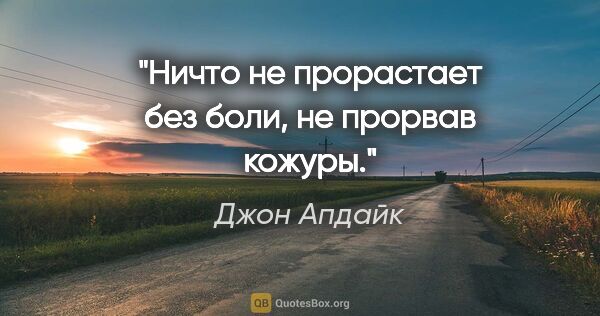 Джон Апдайк цитата: "Ничто не прорастает без боли, не прорвав кожуры."