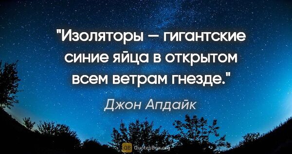 Джон Апдайк цитата: "Изоляторы — гигантские синие яйца в открытом всем ветрам гнезде."