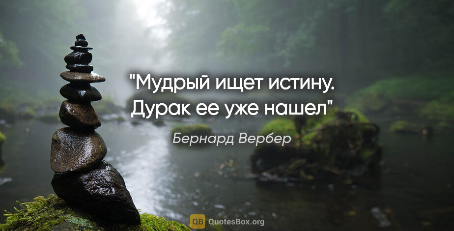 Бернард Вербер цитата: "Мудрый ищет истину. Дурак ее уже нашел"