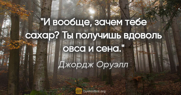 Джордж Оруэлл цитата: "И вообще, зачем тебе сахар? Ты получишь вдоволь овса и сена."