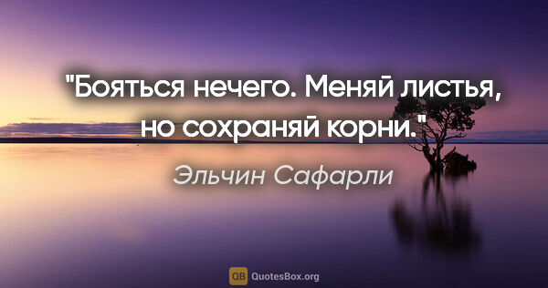 Эльчин Сафарли цитата: "Бояться нечего. Меняй листья, но сохраняй корни."